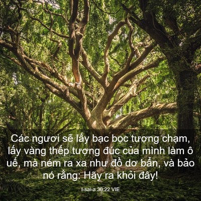 Picture 03 - I-sai-a 30:22 VIE - Các ngươi sẽ lấy bạc bọc tượng - Bible Verse Picture