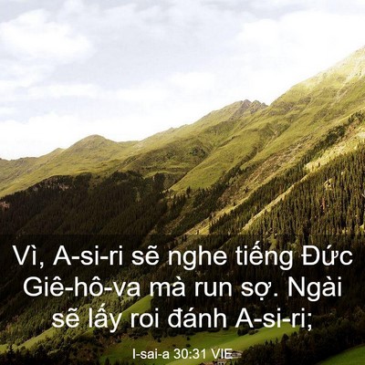 Picture 03 - I-sai-a 30:31 VIE - Vì, A-si-ri sẽ nghe tiếng Đức Giê-hô-va - Bible Verse Picture