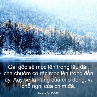 Picture 03 - I-sai-a 34:13 VIE - Gai gốc sẽ mọc lên trong lâu đài, chà - Bible Verse Picture