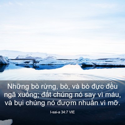 Picture 03 - I-sai-a 34:7 VIE - Những bò rừng, bò, và bò đực đều - Bible Verse Picture