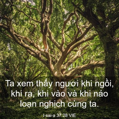 Picture 03 - I-sai-a 37:28 VIE - Ta xem thấy ngươi khi ngồi, khi ra, khi - Bible Verse Picture