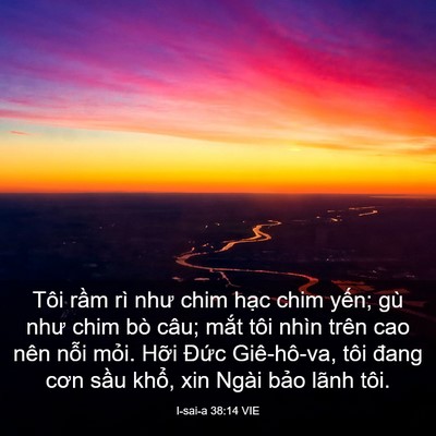 Picture 03 - I-sai-a 38:14 VIE - Tôi rầm rì như chim hạc chim yến; gù - Bible Verse Picture