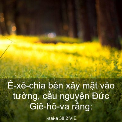 Picture 03 - I-sai-a 38:2 VIE - Ê-xê-chia bèn xây mặt vào tường, cầu - Bible Verse Picture
