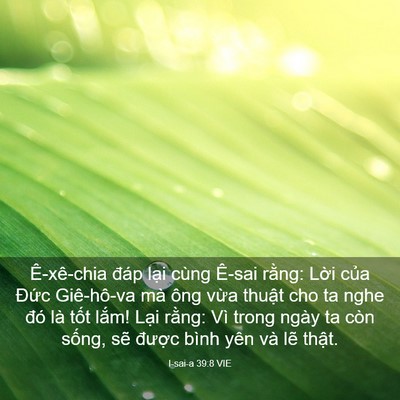 Picture 03 - I-sai-a 39:8 VIE - Ê-xê-chia đáp lại cùng Ê-sai rằng: - Bible Verse Picture