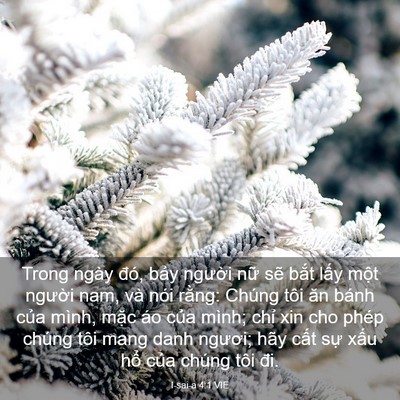 Picture 03 - I-sai-a 4:1 VIE - Trong ngày đó, bảy người nữ sẽ bắt - Bible Verse Picture