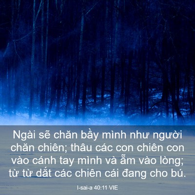 Picture 03 - I-sai-a 40:11 VIE - Ngài sẽ chăn bầy mình như người chăn - Bible Verse Picture