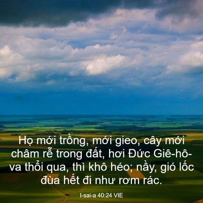 Picture 03 - I-sai-a 40:24 VIE - Họ mới trồng, mới gieo, cây mới châm - Bible Verse Picture