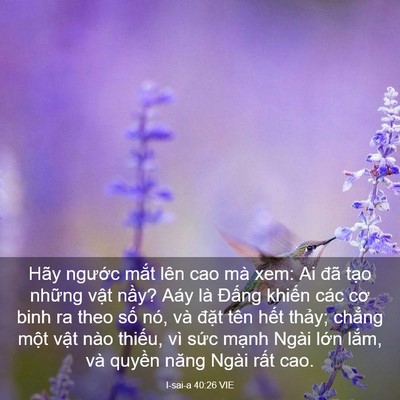 Picture 03 - I-sai-a 40:26 VIE - Hãy ngước mắt lên cao mà xem: Ai đã - Bible Verse Picture