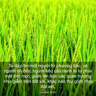 Picture 03 - I-sai-a 41:25 VIE - Ta dấy lên một người từ phương bắc, - Bible Verse Picture