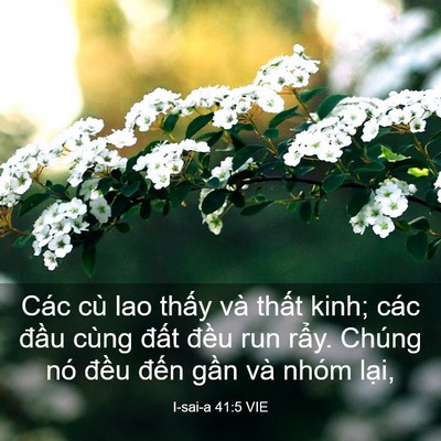 Picture 03 - I-sai-a 41:5 VIE - Các cù lao thấy và thất kinh; các đầu - Bible Verse Picture