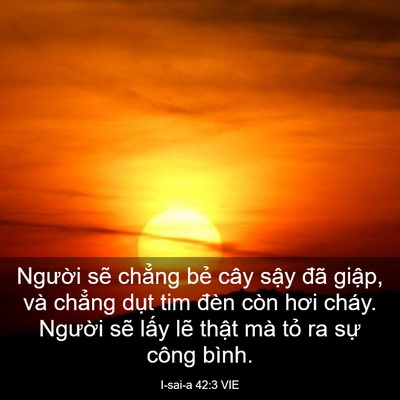 Picture 03 - I-sai-a 42:3 VIE - Người sẽ chẳng bẻ cây sậy đã - Bible Verse Picture
