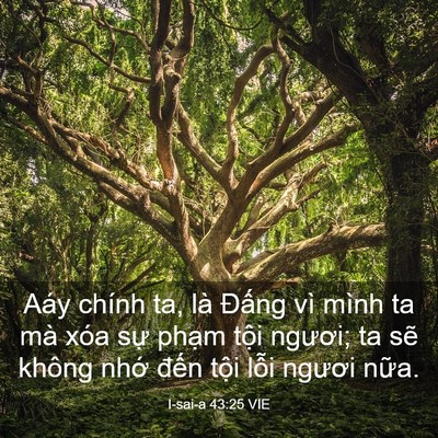 Picture 03 - I-sai-a 43:25 VIE - Aáy chính ta, là Đấng vì mình ta mà xóa - Bible Verse Picture