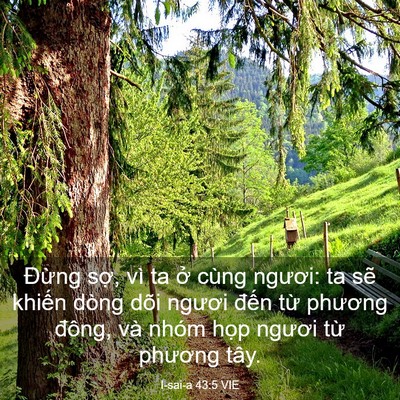 Picture 03 - I-sai-a 43:5 VIE - Đừng sợ, vì ta ở cùng ngươi: ta sẽ - Bible Verse Picture