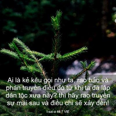 Picture 03 - I-sai-a 44:7 VIE - Ai là kẻ kêu gọi như ta, rao bảo và - Bible Verse Picture