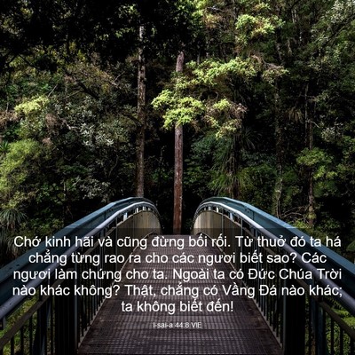 Picture 03 - I-sai-a 44:8 VIE - Chớ kinh hãi và cũng đừng bối rối. - Bible Verse Picture