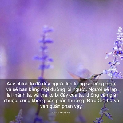 Picture 03 - I-sai-a 45:13 VIE - Aáy chính ta đã dấy người lên trong - Bible Verse Picture