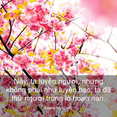 Picture 03 - I-sai-a 48:10 VIE - Nầy, ta luyện ngươi, nhưng không phải - Bible Verse Picture