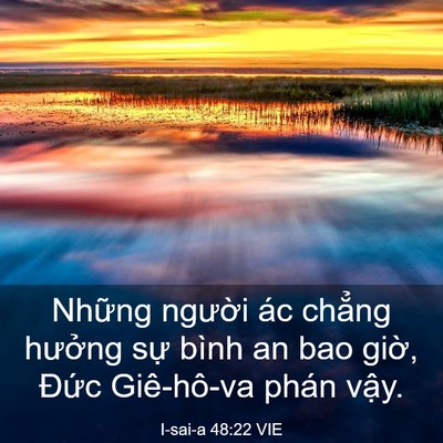 Picture 03 - I-sai-a 48:22 VIE - Những người ác chẳng hưởng sự bình - Bible Verse Picture