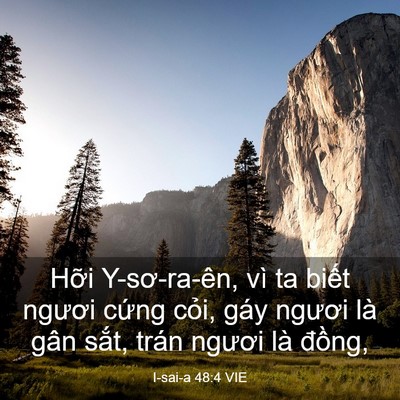 Picture 03 - I-sai-a 48:4 VIE - Hỡi Y-sơ-ra-ên, vì ta biết ngươi cứng - Bible Verse Picture