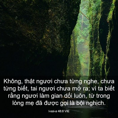 Picture 03 - I-sai-a 48:8 VIE - Không, thật ngươi chưa từng nghe, chưa - Bible Verse Picture