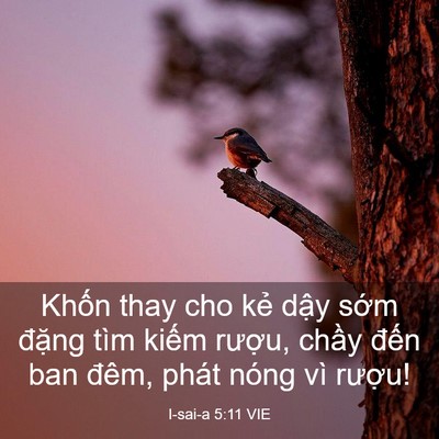 Picture 03 - I-sai-a 5:11 VIE - Khốn thay cho kẻ dậy sớm đặng tìm - Bible Verse Picture