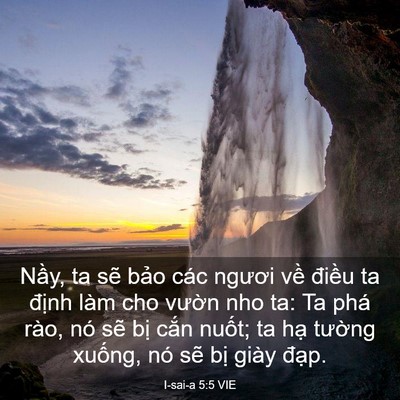 Picture 03 - I-sai-a 5:5 VIE - Nầy, ta sẽ bảo các ngươi về điều ta - Bible Verse Picture