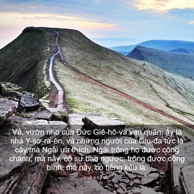 Picture 03 - I-sai-a 5:7 VIE - Vả, vườn nho của Đức Giê-hô-va vạn - Bible Verse Picture