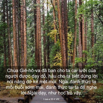 Picture 03 - I-sai-a 50:4 VIE - Chúa Giê-hô-va đã ban cho ta cái lưỡi - Bible Verse Picture