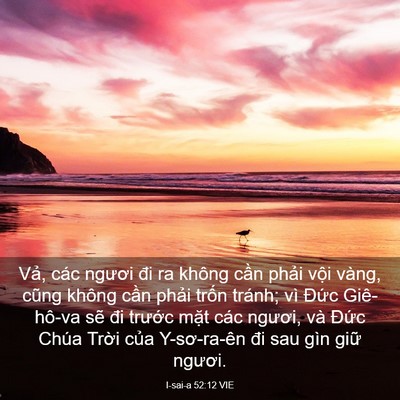 Picture 03 - I-sai-a 52:12 VIE - Vả, các ngươi đi ra không cần phải - Bible Verse Picture