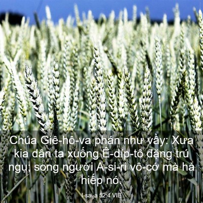Picture 03 - I-sai-a 52:4 VIE - Chúa Giê-hô-va phán như vầy: Xưa kia dân - Bible Verse Picture