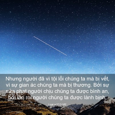 Picture 03 - I-sai-a 53:5 VIE - Nhưng người đã vì tội lỗi chúng ta - Bible Verse Picture