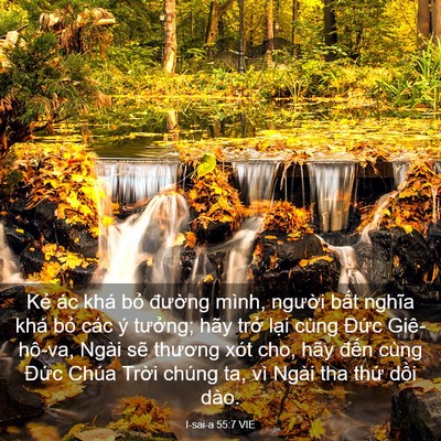 Picture 03 - I-sai-a 55:7 VIE - Kẻ ác khá bỏ đường mình, người - Bible Verse Picture