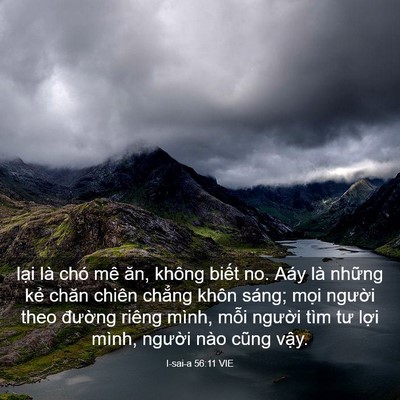 Picture 03 - I-sai-a 56:11 VIE - lại là chó mê ăn, không biết no. Aáy - Bible Verse Picture