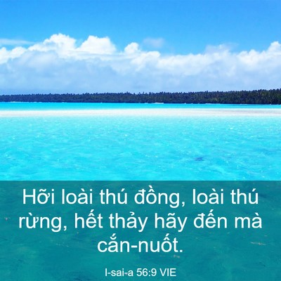 Picture 03 - I-sai-a 56:9 VIE - Hỡi loài thú đồng, loài thú rừng, - Bible Verse Picture