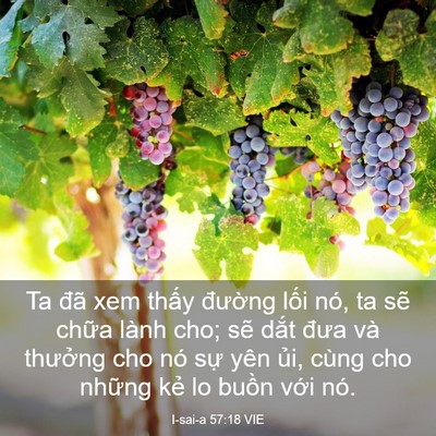 Picture 03 - I-sai-a 57:18 VIE - Ta đã xem thấy đường lối nó, ta sẽ - Bible Verse Picture