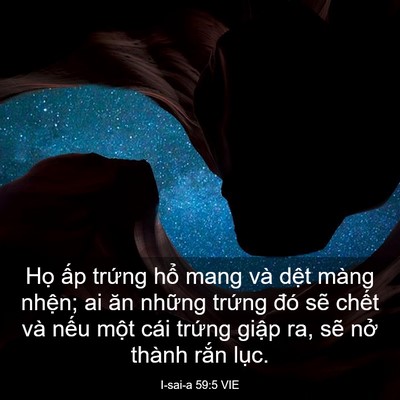 Picture 03 - I-sai-a 59:5 VIE - Họ ấp trứng hổ mang và dệt màng - Bible Verse Picture