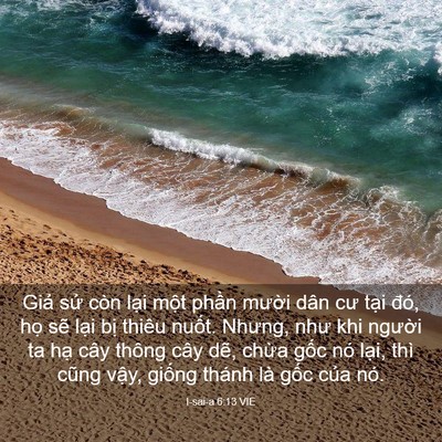 Picture 03 - I-sai-a 6:13 VIE - Giả sử còn lại một phần mười dân - Bible Verse Picture