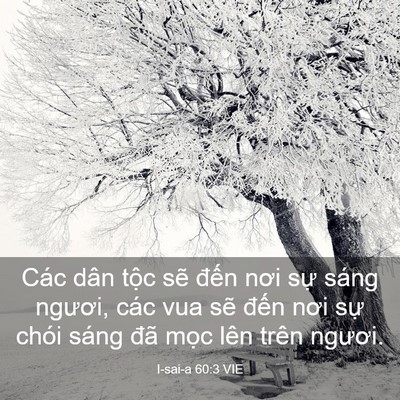 Picture 03 - I-sai-a 60:3 VIE - Các dân tộc sẽ đến nơi sự sáng - Bible Verse Picture
