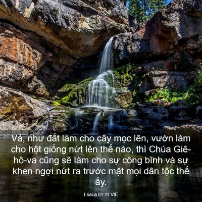 Picture 03 - I-sai-a 61:11 VIE - Vả, như đất làm cho cây mọc lên, - Bible Verse Picture