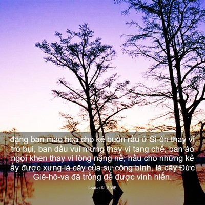 Picture 03 - I-sai-a 61:3 VIE - đặng ban mão hoa cho kẻ buồn rầu ở - Bible Verse Picture