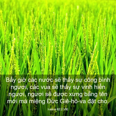 Picture 03 - I-sai-a 62:2 VIE - Bấy giờ các nước sẽ thấy sự công - Bible Verse Picture