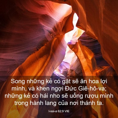Picture 03 - I-sai-a 62:9 VIE - Song những kẻ có gặt sẽ ăn hoa lợi - Bible Verse Picture