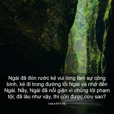 Picture 03 - I-sai-a 64:5 VIE - Ngài đã đón rước kẻ vui lòng làm sự - Bible Verse Picture