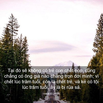 Picture 03 - I-sai-a 65:20 VIE - Tại đó sẽ không có trẻ con chết non, - Bible Verse Picture
