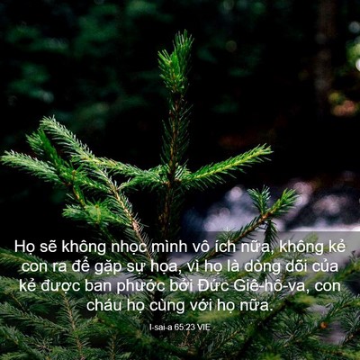Picture 03 - I-sai-a 65:23 VIE - Họ sẽ không nhọc mình vô ích nữa, - Bible Verse Picture