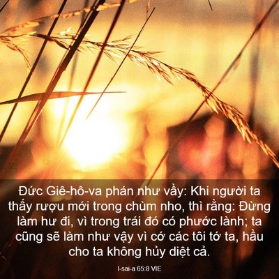 Picture 03 - I-sai-a 65:8 VIE - Đức Giê-hô-va phán như vầy: Khi người - Bible Verse Picture