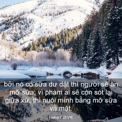 Picture 03 - I-sai-a 7:22 VIE - bởi nó có sữa dư dật thì người sẽ - Bible Verse Picture
