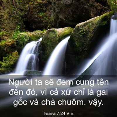 Picture 03 - I-sai-a 7:24 VIE - Người ta sẽ đem cung tên đến đó, vì - Bible Verse Picture