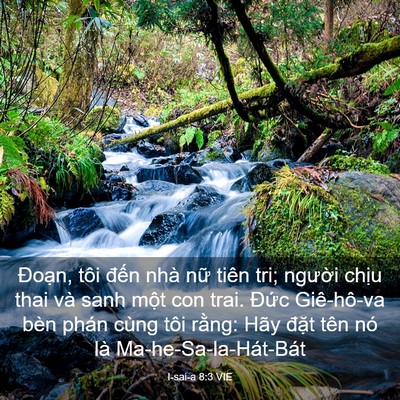 Picture 03 - I-sai-a 8:3 VIE - Đoạn, tôi đến nhà nữ tiên tri; - Bible Verse Picture