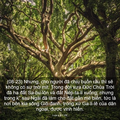 Picture 03 - I-sai-a 9:1 VIE - (08-23) Nhưng, cho người đã chịu buồn - Bible Verse Picture